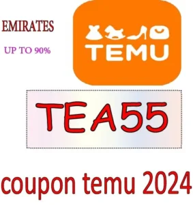 coupon temu 2024